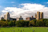 New York Discovery